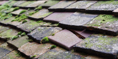 Doynton roof repair costs